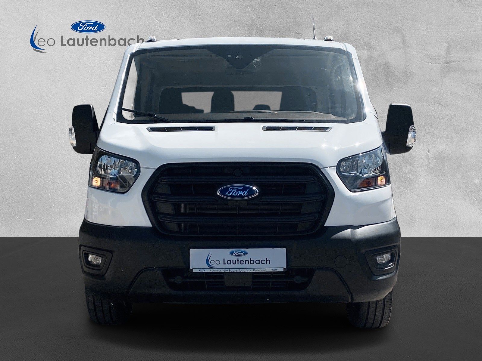 Fahrzeugabbildung Ford Transit Pritsche 350 L3 Doppelkabine Trend