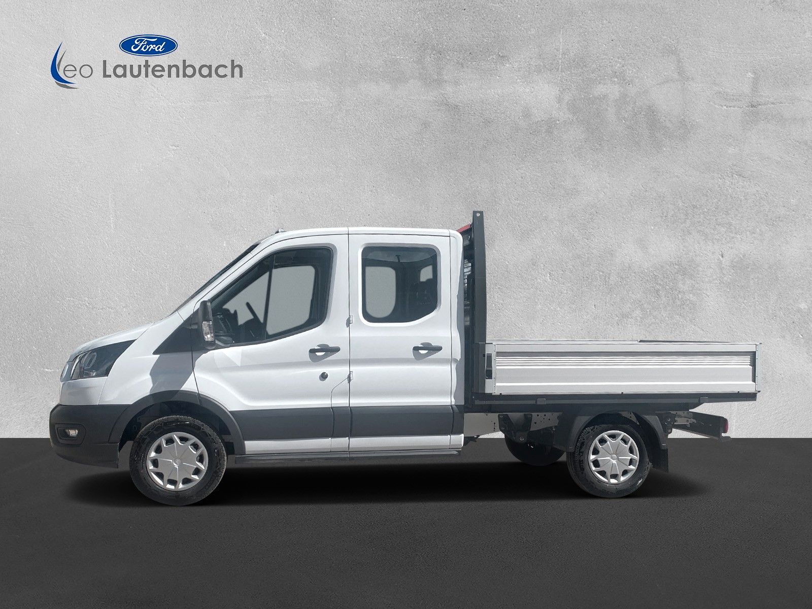 Fahrzeugabbildung Ford Transit Pritsche 350 L2 Doppelkabine Trend