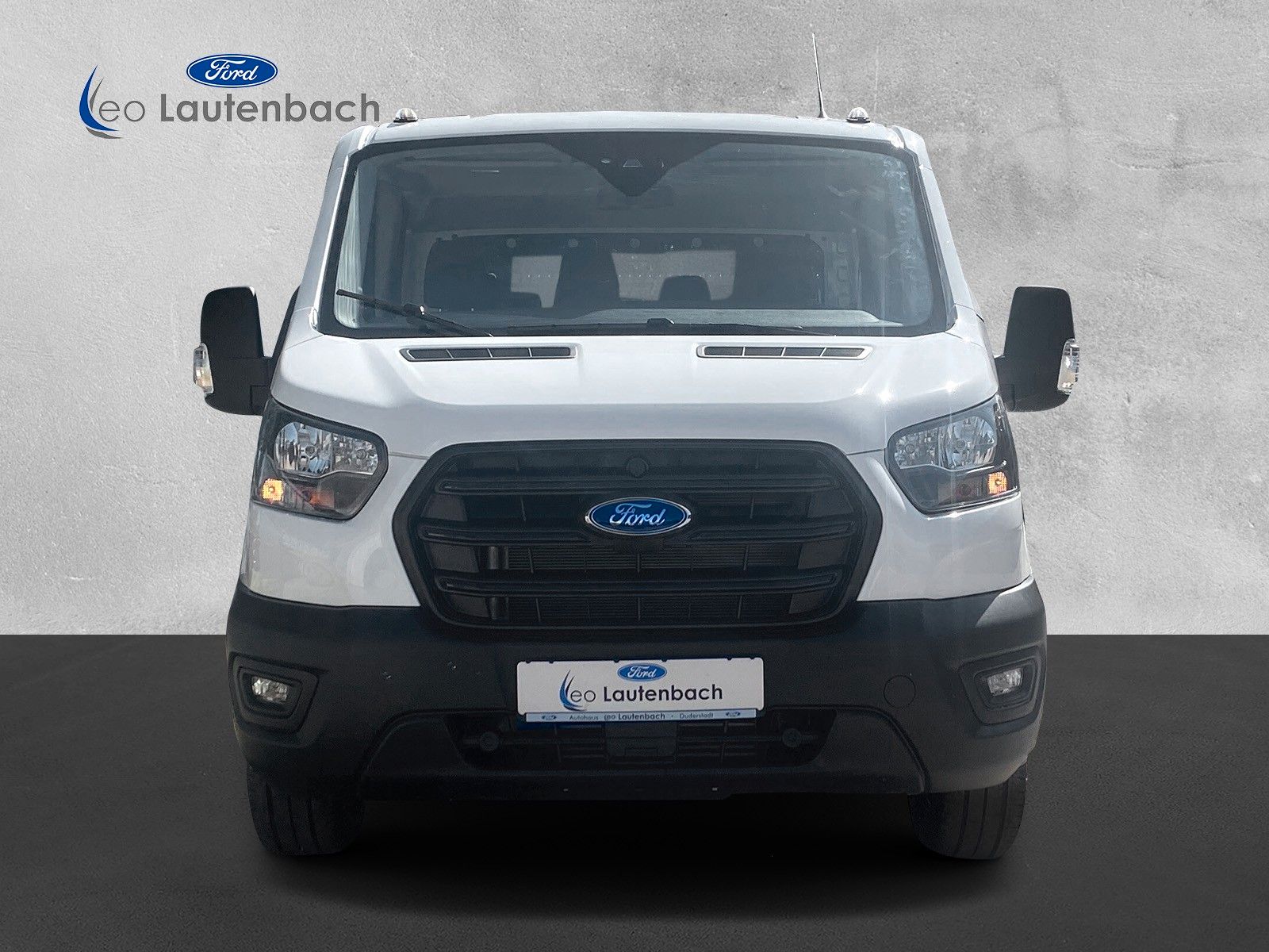 Fahrzeugabbildung Ford Transit Pritsche 350 L2 Doppelkabine Trend